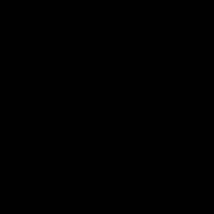 Meet your Posher, Celly